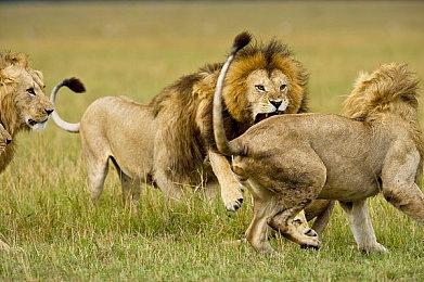 《家园3》正式发售 Steam综合评价“褒贬不一”